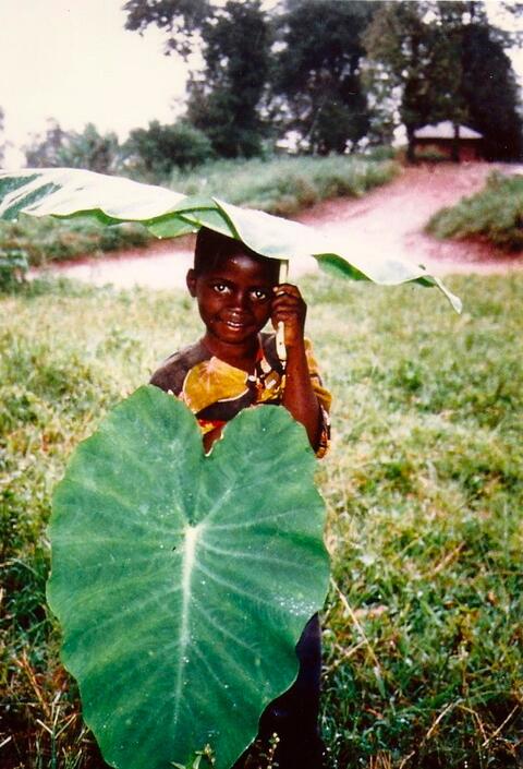 Local umbrella 
