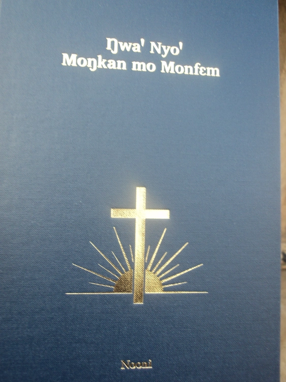 Nooni NT Bible